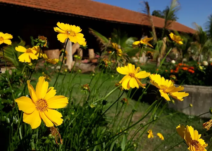 Parque Paraíso das Flores