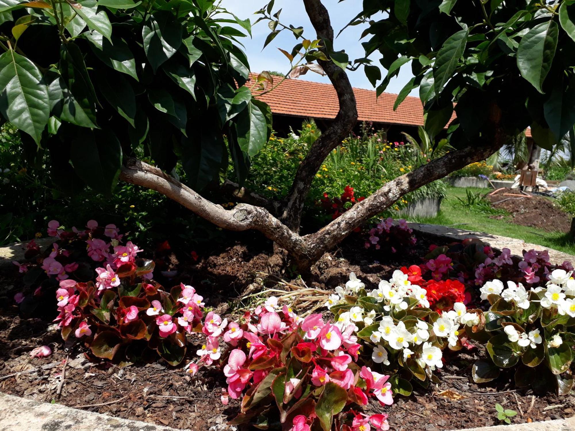 Parque Paraíso Flores * Holambra